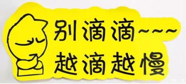 實習車上路 真的可怕嗎？解析馬路上的“隱形警報”與汽車陪駕服務